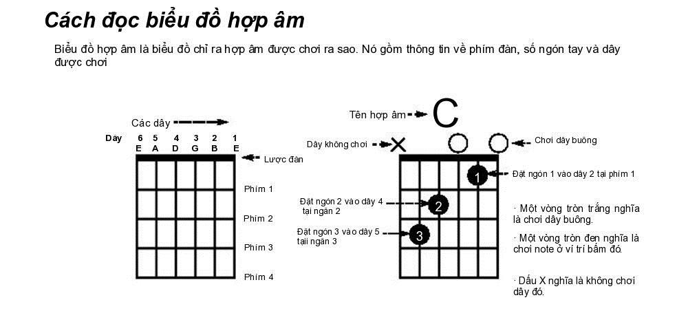 Cách học Hợp âm đàn Guitar cơ bản cho người mới học