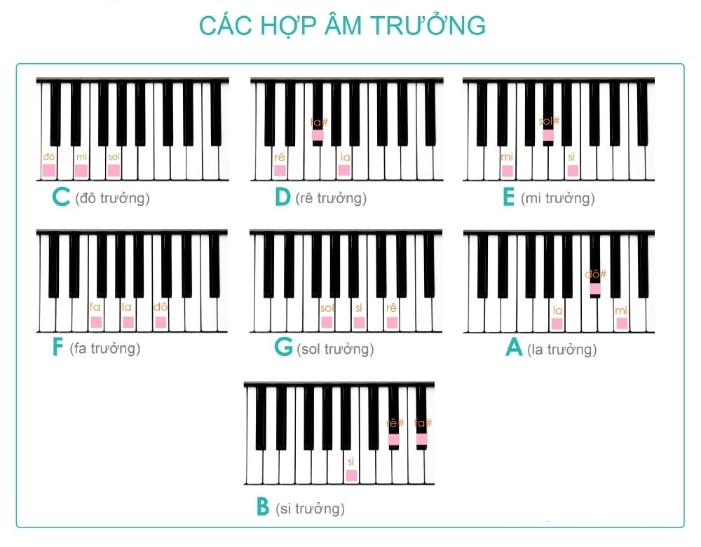 Những thông tin về hợp âm cơ bản nên biết 2